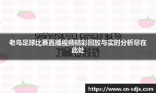 kk体育官网入口