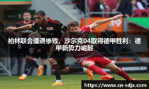 kk体育